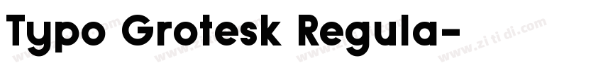 Typo Grotesk Regula字体转换